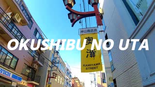 奥渋の歌-毛利モットンナリー feat.GUMI