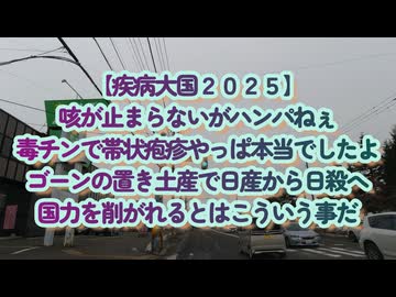 【疾病大国２０２５】人も企業も衰退が止まらない...