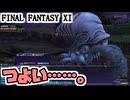 【FF11】二刀流効果アップピアスを目指して。エヌティエル水林の大冒険！＿＿カッパのヴァナ・ディール生活