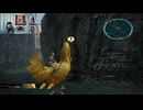 FF13-500