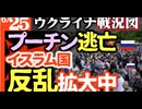 2024年6月25日ウクライナ戦況図
