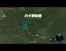 #134【ゼルダの伝説 ティアーズ オブ ザ キングダム】勇者ハイラル城に行く！