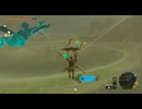 #135【ゼルダの伝説 ティアーズ オブ ザ キングダム】地上絵が見つからない！