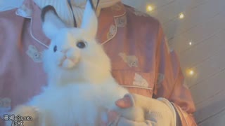 ASMR【ささやき子守唄の動画２本まとめ】お知らせ＆あわてんぼうのサンタクロースを歌う / ウサギになったあなたを寝かしつけます【珊瑚 Sango ASMR】