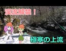 【ずんだもん】渓流解禁！！極寒の釣り【渓流釣り】