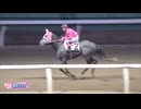 2025年3月21日浦和競馬12R ～感動をありがとう～ 内田利雄騎手引退特別(C2) ランディー