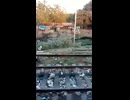 INCREDIBLE INDIA