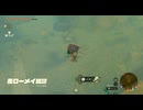 #136【ゼルダの伝説 ティアーズ オブ ザ キングダム】南ローメイ城跡の迷路攻略！