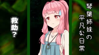 琴葉姉妹の平凡な日常 270『目が覚めたら山の中でした(泣)⑮』【VOICEROID劇場】