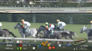 2025 愛知杯(GⅢ)　ワイドラトゥール