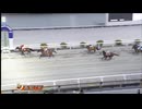 2025年3月23日高知競馬7R A-3組 ロードレイライン