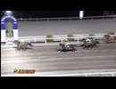 2025年3月23日高知競馬10R 協賛Ｒ二百回到達協賛 木下智史協賛二百特別(C2-2組) ボブズヤアンクル