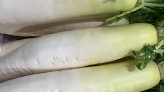 76447573579__2DC43DF4-C3E7-4EE5-91EF-AFDD0273216B