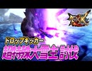 【MHXX/HD】超特殊大雪主にブシドー双剣で挑む【モンスターハンターダブルクロス】#91