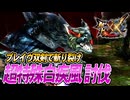【MHXX/HD】白疾風にブレイヴ双剣で挑む【モンスターハンターダブルクロス】#97