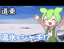 【道東】流氷を見る予定がまさかのシャチと遭遇！？【旅行動画】