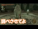 ゼルダの伝説　ティアーズ オブ ザ キングダム　実況プレイPart321