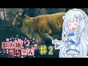 【エルデンリング】影の地雪ちゃんPart2【WhiteCul実況】