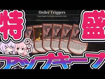 【紙束】特盛アップキープ【#65】