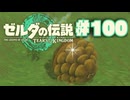 【ぽつぽつ実況 #100】さえずり【ティアーズオブザキングダム】