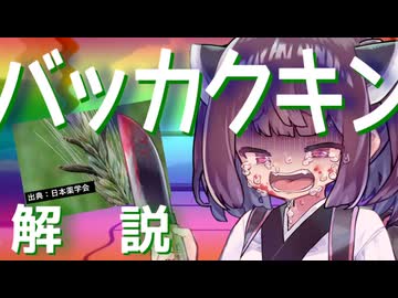 東北きりたんの毒キノコ解説『バッカクキン（麦角菌）』