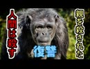 【ボイロ解説】人間狩りをしたチンパンジー「ブルーノ」とは…【ブルーノ襲撃事件】