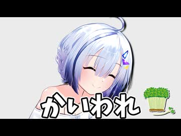 かいわれをもっと美味しくする方法【No.7誕生祭2025】