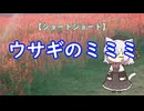 【ショートショート】ウサギのミミミ