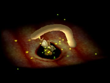 【ワンダートレック】よく分からないゲームをやろう会_Part06