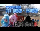 【城郭登城祭第二陣】松本城前史・井川城・林城【１分弱動画日記#20】