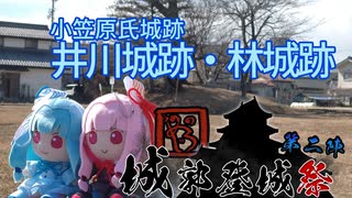 【城郭登城祭第二陣】松本城前史・井川城・林城【１分弱動画日記#20】