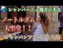 ●MM Trip●【フランス パリ 編】【第１１章 シャンパーニュ地方にあるノートルダム大聖堂でまさかのあの人が！？　地下１８０mのシャンパンツアーにも参加！】