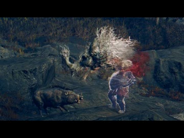 【ゆっくり実況】影地ャタマネギ Part.61【エルデンリング】