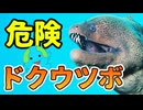 巨大生物ドクウツボが危険すぎる【解説】