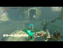 #138【ゼルダの伝説 ティアーズ オブ ザ キングダム】滝の裏から発進！