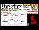 ギターのピッキングの練習に最適 - Brett Garsed ギター ハイブリッド ピッキング アンドゥイング TAB