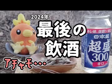 やっぱりアルコール漬けの年末年始　投稿者:アル中拓也