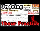 【繰り返し】Brett Garsed Guitar Hybrid Picking Undoing Intro TAB【Practice】ギター ハイブリッド ピッキング