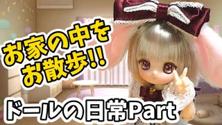 【ドール日常劇場】ミュウがお家のなかをお散歩していろいろな発見をしました！