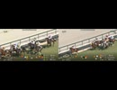 ハヤテノフクノスケ (阪神リニューアル記念) vs サンライズアース (阪神大賞典)