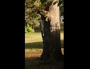 20240724