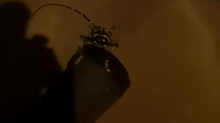 20240731