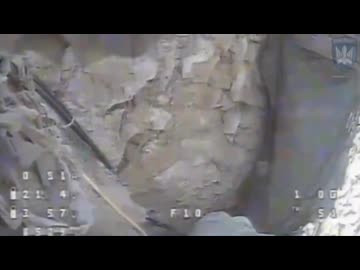 ホモと見るひょっこりはん