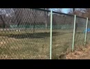 小金井公園(だったはず)を歩いた時の記録