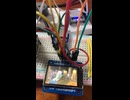 【RP2040 Zero】 ST7789ディスプレイを使った動画再生（MicroPython）