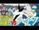 失ったポケモンは二度と戻らない。【ブラックホワイト】#28