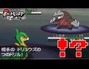 失ったポケモンは二度と戻らない。【ブラックホワイト】#27