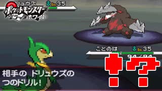 失ったポケモンは二度と戻らない。【ブラックホワイト】#27