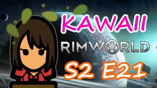 動物のお祭り | 可愛さだけで成り上がる RimWorld Ep.21