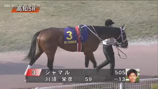 農林水産大臣賞典 第27回黒船賞 パドック～本馬場入場